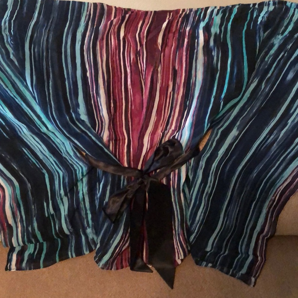 Gorgeous, Multi Colored Sheer Top - image 3